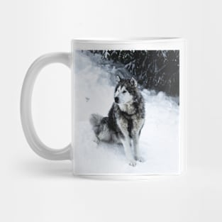 Malamute Dog Waiting on a Snow Field Mug